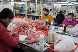 Libre-échange: l’UKVFTA favorise les exportations de chaussures en cuir vers le Royaume-Uni