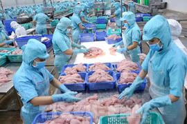 Pêche INN : un rapport sur les effets du “carton jaune” rendu public