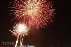 Proposition de ne pas organiser de feux d’artifice à l’occasion du Nouvel An lunaire
