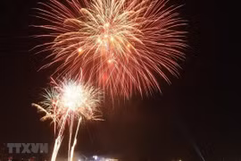 Proposition de ne pas organiser de feux d’artifice à l’occasion du Nouvel An lunaire