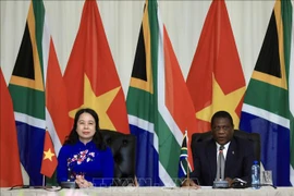 Activités de la vice-présidente vietnamienne Vo Thi Anh Xuan en Afrique du Sud