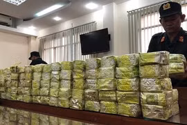 De vastes réseaux de trafic de drogue démantelés au premier trimestre