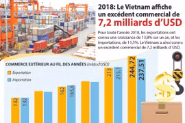 Le Vietnam affiche un excédent commercial de 7,2 milliards de dollars en 2018