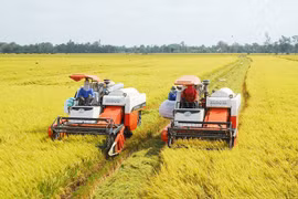 Exportation de riz du delta du Mékong en 2020