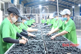 Croissance économique: Binh Phuoc au premier rang de la région du Sud-Est