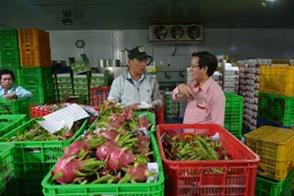 La croissance des exportations de produits agricoles ne s’avère pas durable