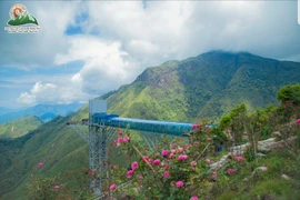 Le pont en verre de Rông Mây à Lai Châu