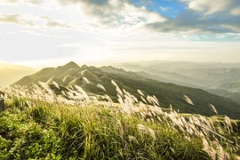 Binh Liêu, écrin de nature dans la province de Quang Ninh
