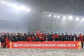 Journée du sport du Vietnam : des talents du sport vietnamien