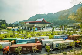 L’import-export entre le Vietnam et la Chine est dynamique en ce début d'année 