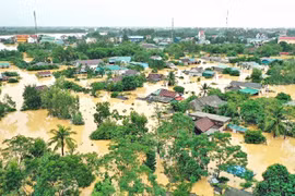 Développement des villes pour répondre au changement climatique