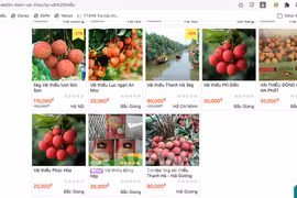 Connexion d'informations entre les plateformes d’e-commerce et les autorités fiscales 