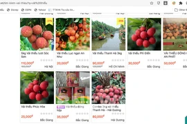 Connexion d'informations entre les plateformes d’e-commerce et les autorités fiscales 