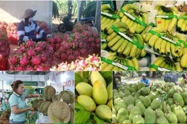 Les produits agricoles, bons élèves des exportations du Vietnam en 2023 