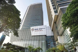 Le groupe Electricité du Vietnam cherche à devenir une entreprise puissante et durable