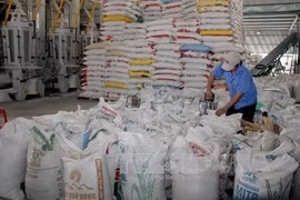 De nombreux signes positifs pour les exportations de riz en 2023