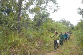 Renforcement de la protection des espèces sauvages