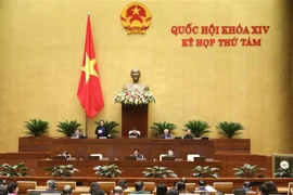 L’AN discute du développement des zones peuplées de minorités ethniques