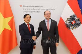 L'Autriche a grand intérêt à renforcer ses liens économiques avec le Vietnam