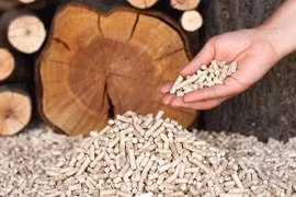 Les exportations de granulés de bois pourraient atteindre 1 milliard de dollars cette année 