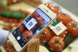 Numérisation de la traçabilité des produits agroalimentaires