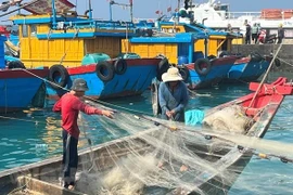 Lutte contre la pêche INN : résoudre de toute urgence les problèmes existants