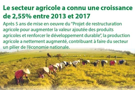 Le secteur agricole a connu une croissance de 2,55% entre 2013 et 2017