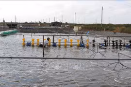 Promotion de la production agricole bio pour s’adapter au changement climatique 