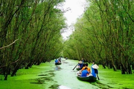 La forêt de Tra Su, « poumon vert » du Sud-Ouest