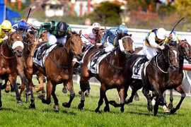 Hanoï compte construire un hippodrome à Soc Son