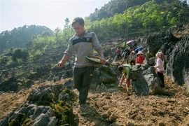 Cao Bang s’efforce de diminuer son taux de ménages pauvres de 4 points cette année