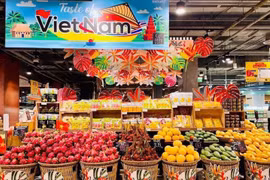 Promouvoir la diplomatie économique pour renforcer la coopération Vietnam-Thaïlande