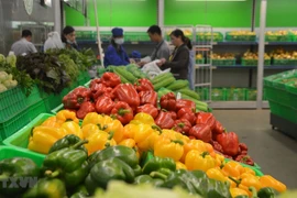 Les exportations de fruits et légumes devraient prospérer d'ici la fin de l'année 