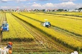 Agriculture : élaboration d’une stratégie de développement durable