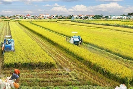 Agriculture : élaboration d’une stratégie de développement durable