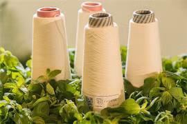 Textile-habillement : nécessité de la transformation numérique et de l’économie circulaire