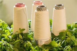 Textile-habillement : nécessité de la transformation numérique et de l’économie circulaire