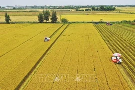 Accélérer la transformation numérique dans l’agriculture 