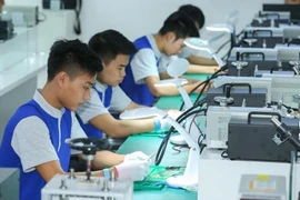Ca Mau cherche à développer des ressources humaines qualifiées