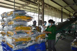 Dong Thap poursuit les efforts d’accélérer son développement socio-économique