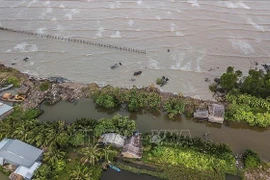Recherche de solutions pour l'adaptation au changement climatique