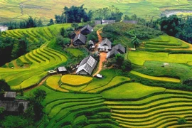 Lonely Planet recommande huit treks attrayants au Vietnam