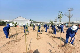 Edification d’une base de données sur les arbres à l'échelle nationale