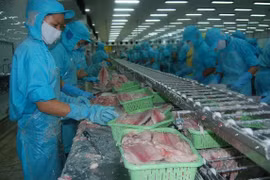 Aquaculture : de nouvelles perspectives pour les exportations en 2019