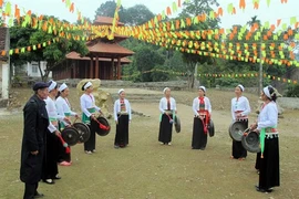 Le Têt traditionnel chez les minorités ethniques