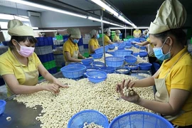 Vers un modèle de liaison de production et d'exportation officielle