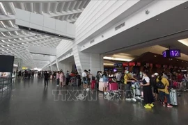 Des citoyens vietnamiens à Taïwan (Chine ) et à Singapour rapatriés 