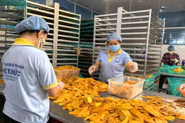 Croissance exceptionnelle des exportations de fruits et légumes bien transformés