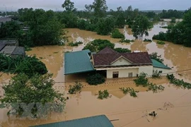 Le PM décide de fournir 5000 tonnes de riz aux victimes des inondations dans le Centre