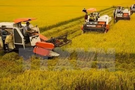 L’agriculture vietnamienne affiche ses ambitions